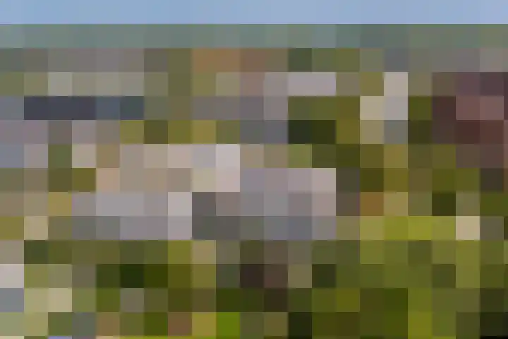 Wattbaan 50 33 Nieuwegein thumbnail 6