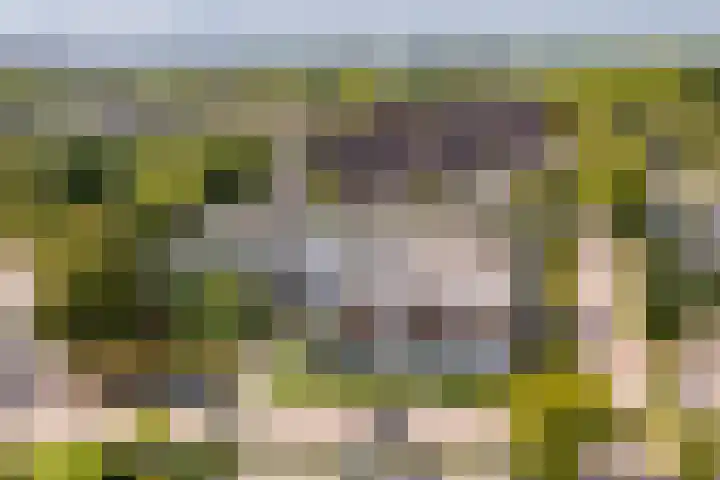 Wattbaan 50 33 Nieuwegein thumbnail 7