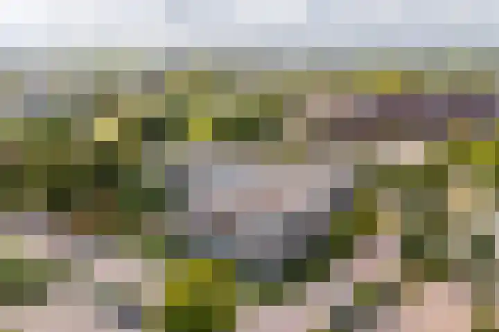 Wattbaan 50 33 Nieuwegein thumbnail 8