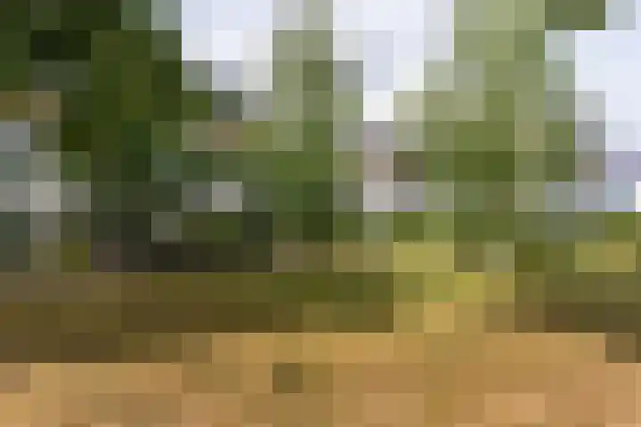Wattbaan 50 33 Nieuwegein thumbnail 9