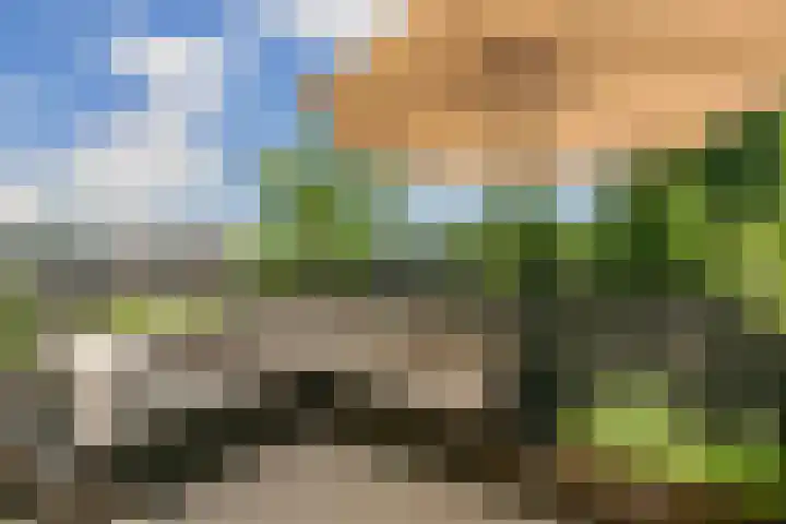 Wattbaan 50 36 Nieuwegein thumbnail 12
