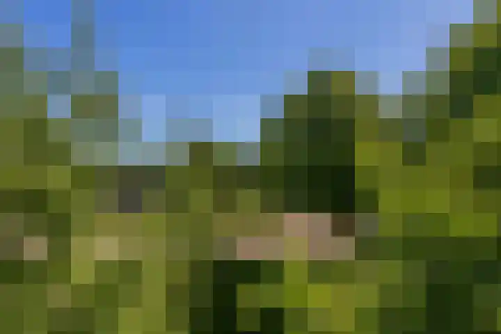 Wattbaan 50 36 Nieuwegein thumbnail 14