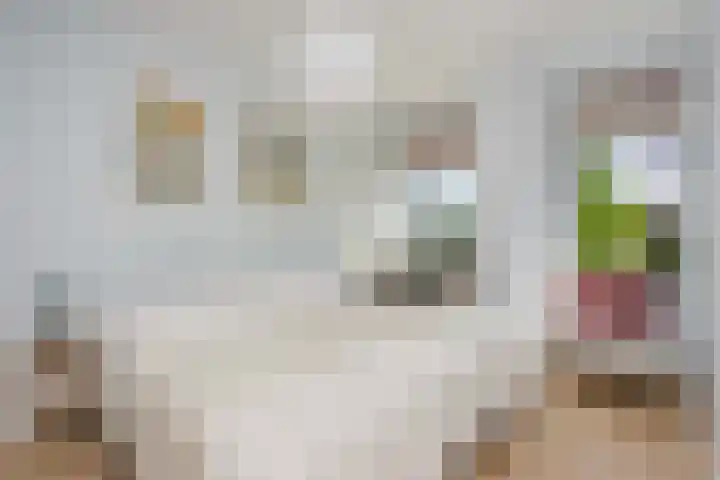 Wattbaan 50 36 Nieuwegein thumbnail 15