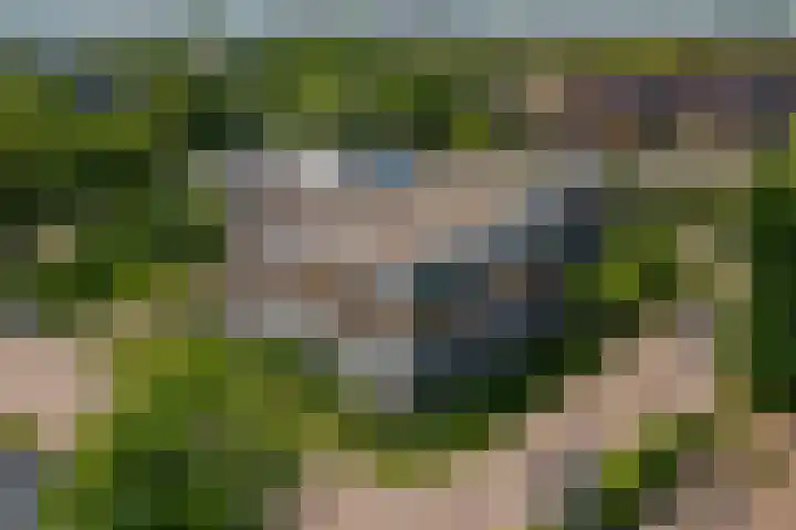 Wattbaan 50 36 Nieuwegein thumbnail 25