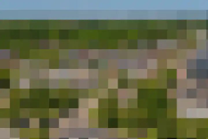 Wattbaan 50 36 Nieuwegein thumbnail 29