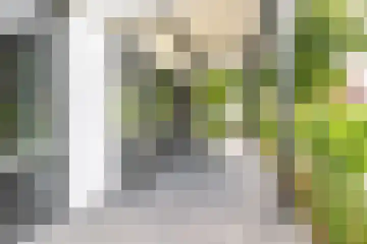 Wattbaan 50 4 Nieuwegein thumbnail 17