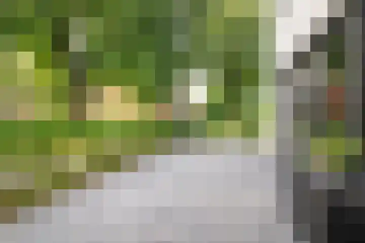 Wattbaan 50 4 Nieuwegein thumbnail 19