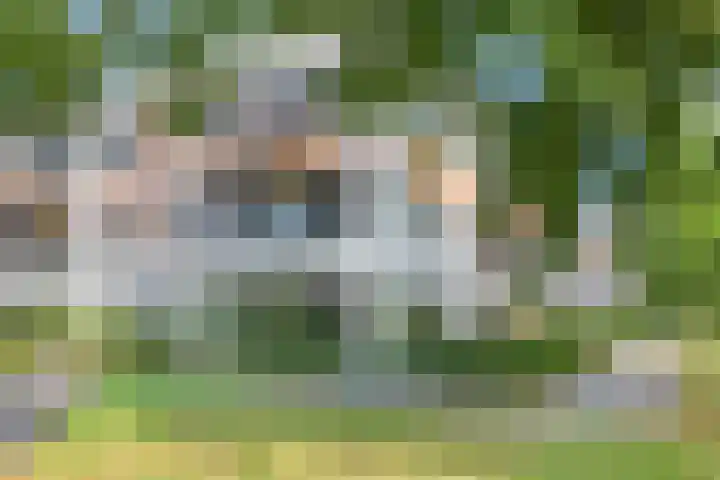 Wattbaan 50 4 Nieuwegein thumbnail 23
