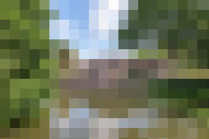 Wattbaan 50 4 Nieuwegein thumbnail 29