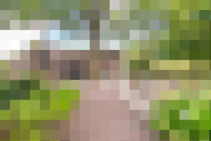 Wattbaan 50 4 Nieuwegein thumbnail 30