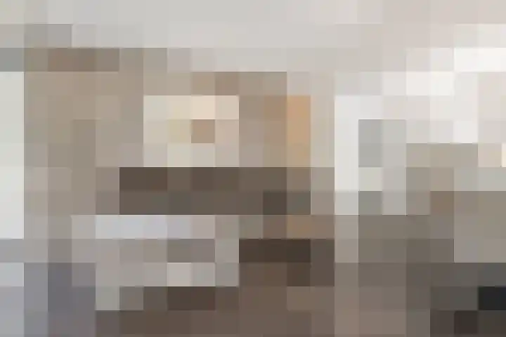 Wattbaan 50 4 Nieuwegein thumbnail 4