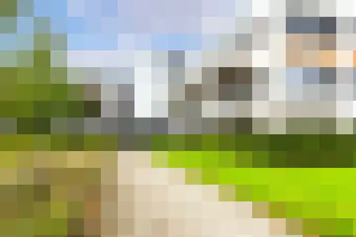 Wattbaan 50 40 Nieuwegein thumbnail 26