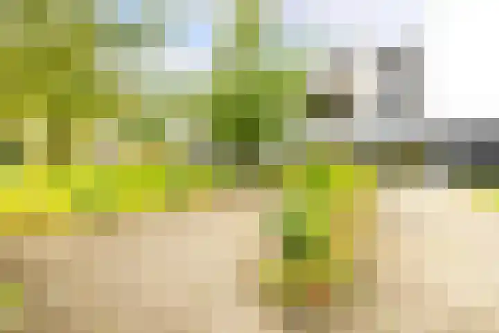 Wattbaan 50 40 Nieuwegein thumbnail 31