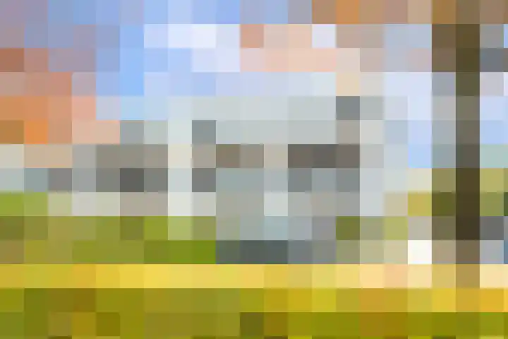 Wattbaan 50 40 Nieuwegein thumbnail 32