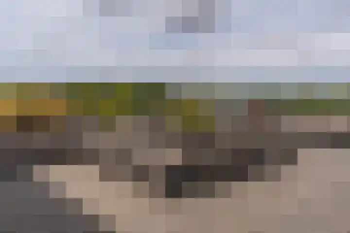 Wattbaan 50 40 Nieuwegein thumbnail 36
