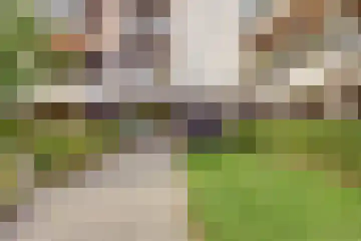 Wattbaan 50 5 Nieuwegein thumbnail 14