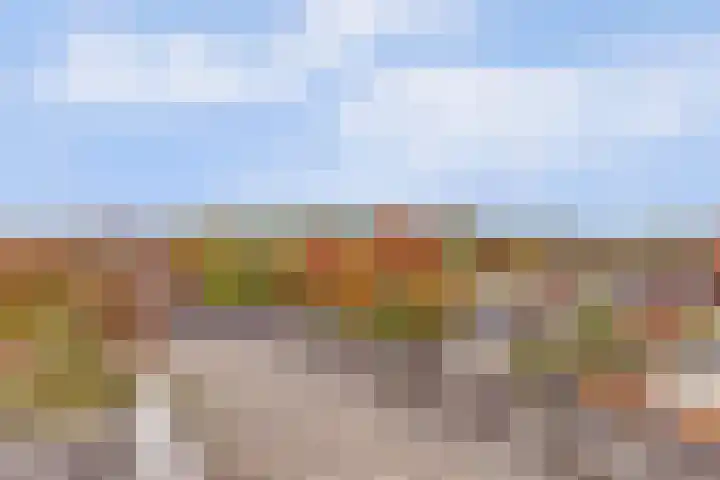 Wattbaan 50 5 Nieuwegein thumbnail 30