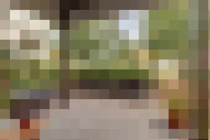 Wattbaan 50 5 Nieuwegein thumbnail 34