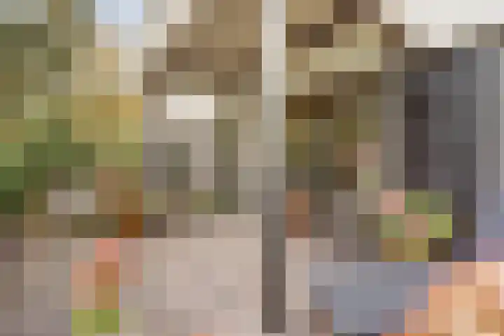 Wattbaan 50 5 Nieuwegein thumbnail 36