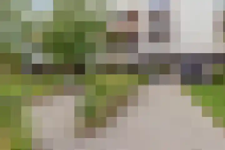 Wattbaan 50 5 Nieuwegein thumbnail 38