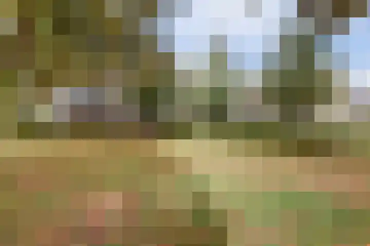 Wattbaan 50 5 Nieuwegein thumbnail 39