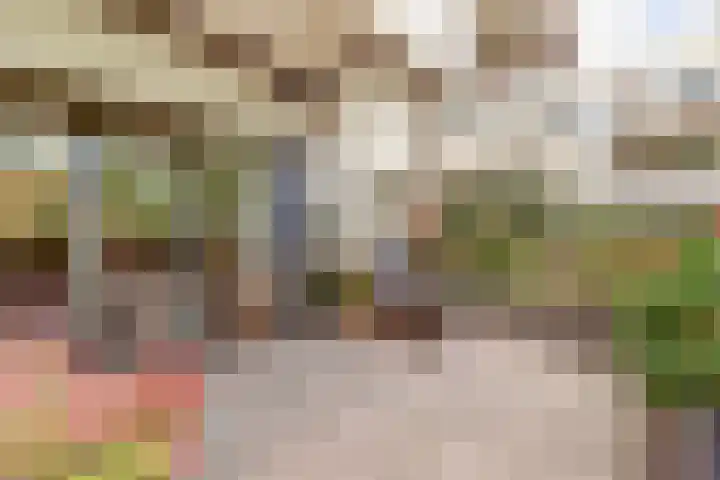 Wattbaan 50 5 Nieuwegein thumbnail 5