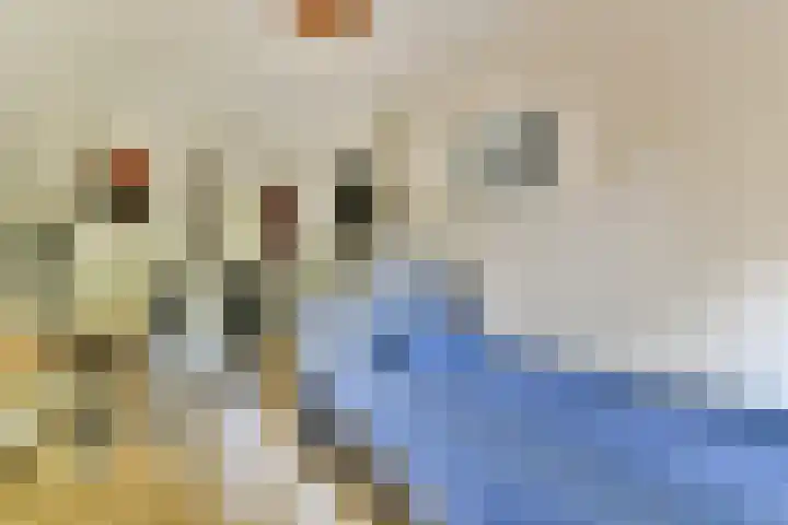 Watteaustraat 15 4 Amsterdam thumbnail 12