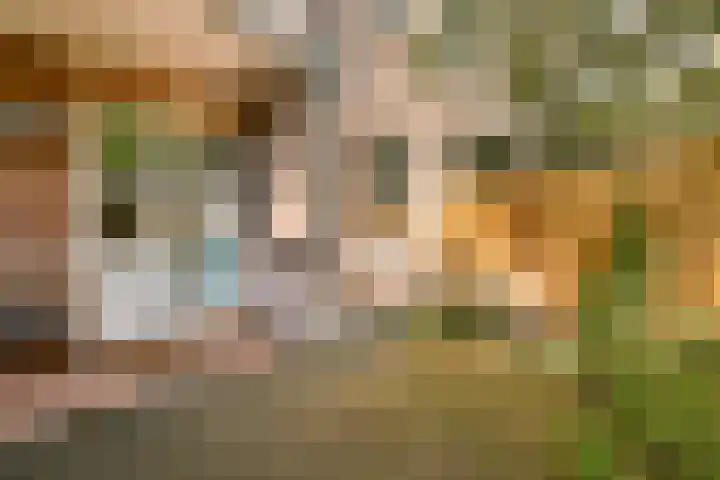 Watteaustraat 15 4 Amsterdam thumbnail 15
