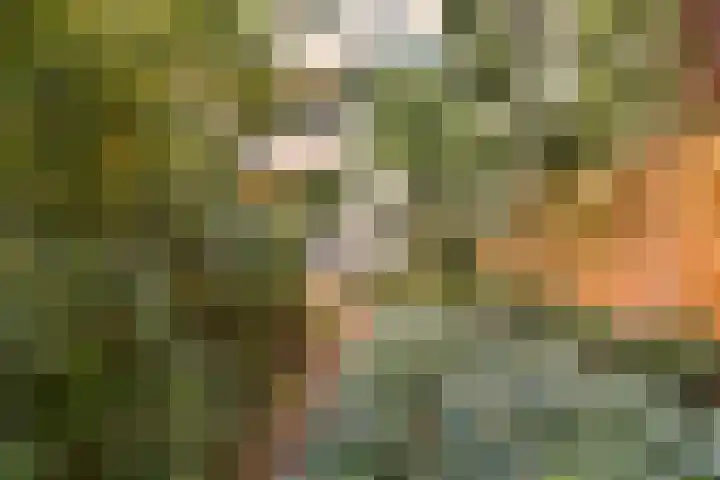 Watteaustraat 15 4 Amsterdam thumbnail 16