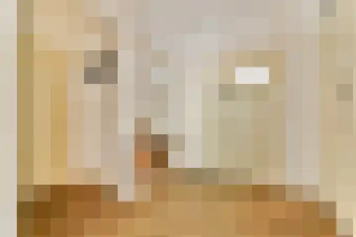 Watteaustraat 15 4 Amsterdam thumbnail 4