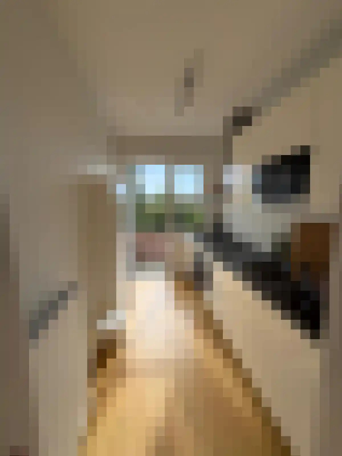 Watteaustraat 15 4 Amsterdam thumbnail 5