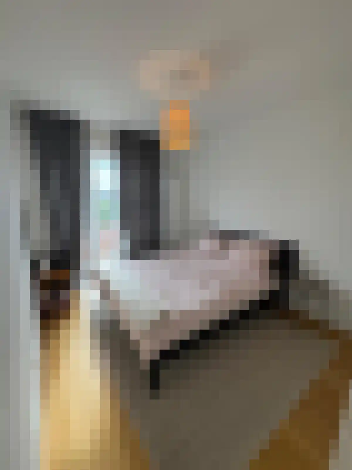 Watteaustraat 15 4 Amsterdam thumbnail 6