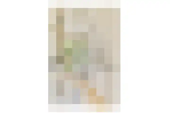 Watteaustraat 15 4 Amsterdam thumbnail 8