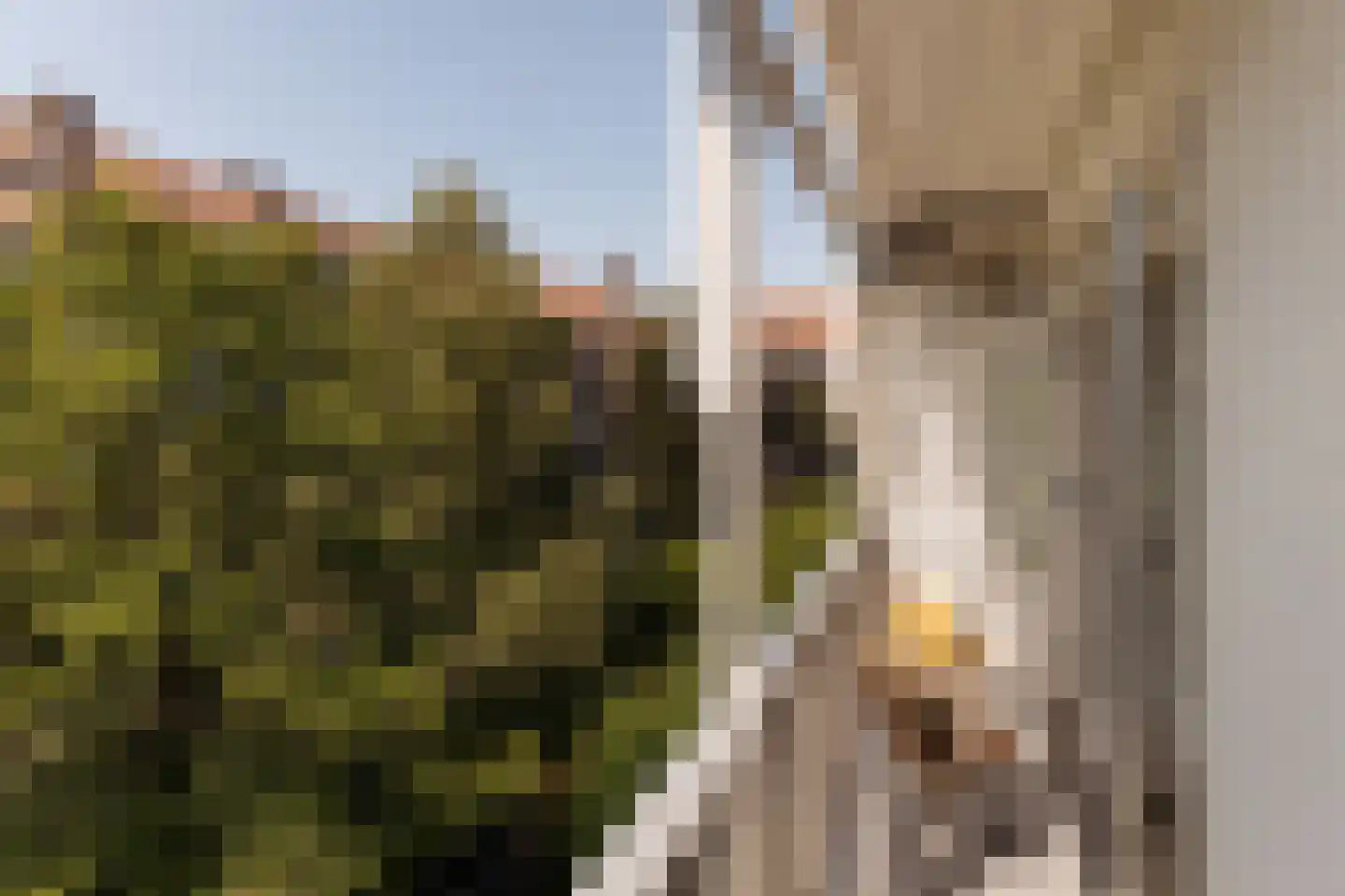 Watteaustraat 20 1 Amsterdam thumbnail 12