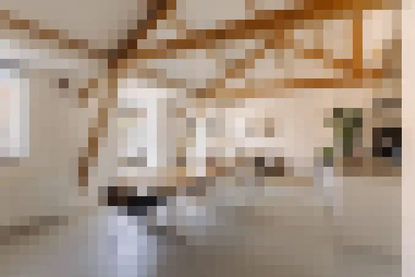 Watteaustraat 20 1 Amsterdam thumbnail 15