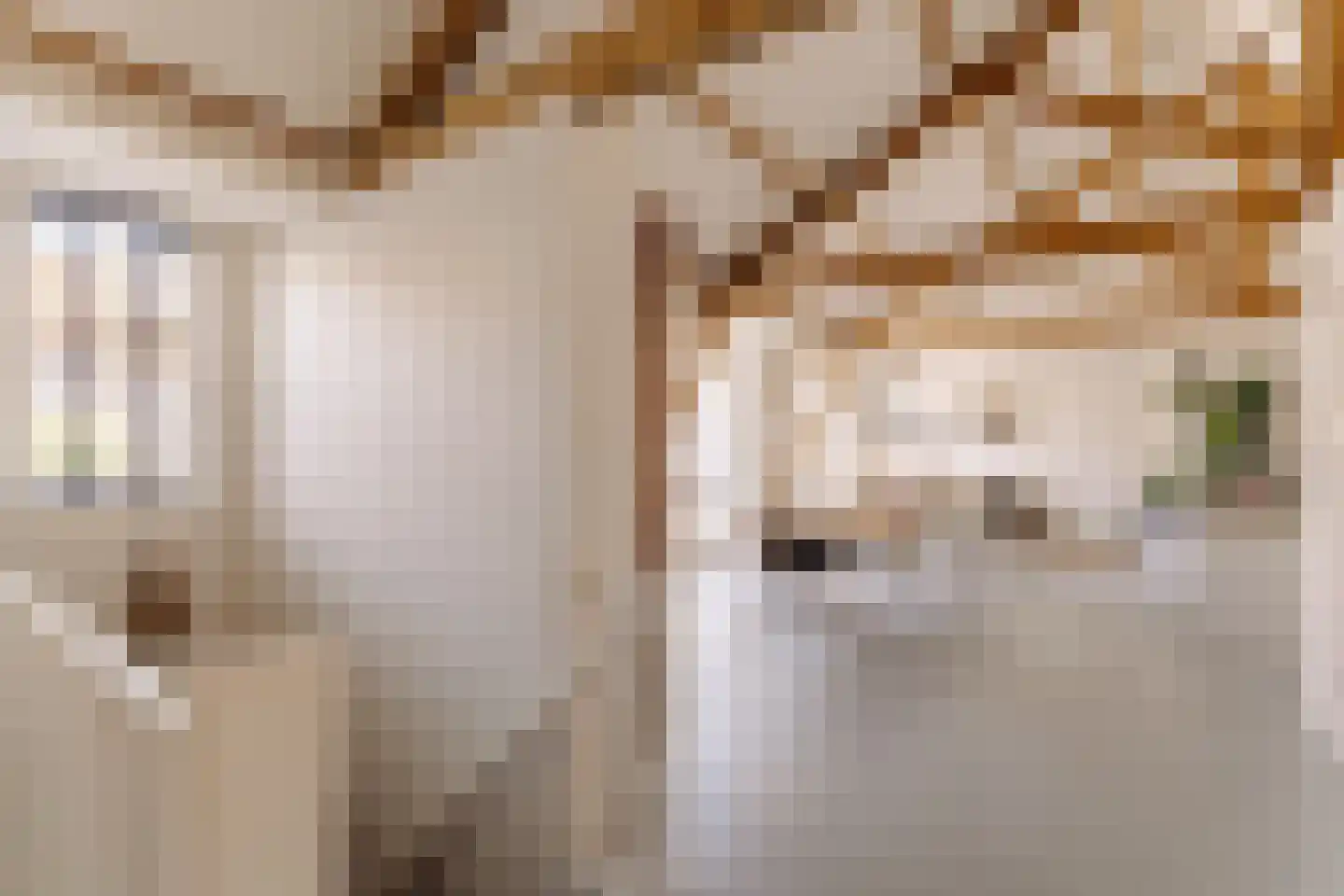 Watteaustraat 20 1 Amsterdam thumbnail 16