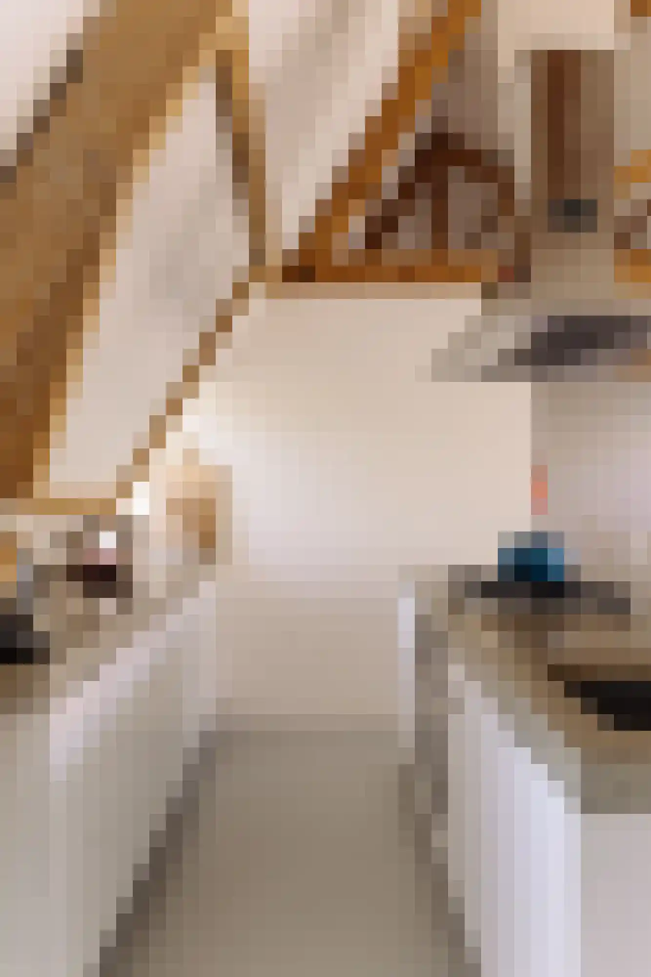 Watteaustraat 20 1 Amsterdam thumbnail 18