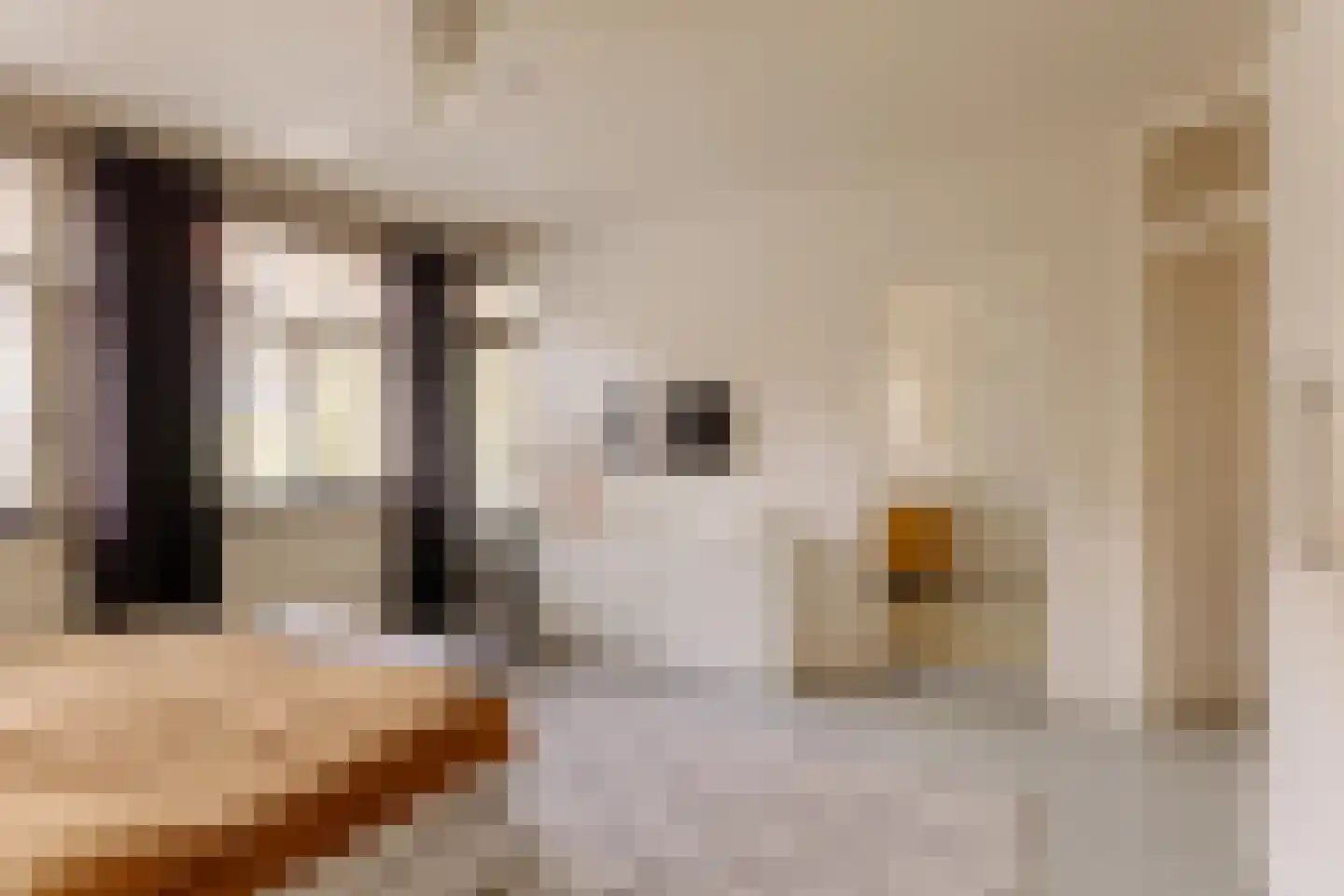 Watteaustraat 20 1 Amsterdam thumbnail 29