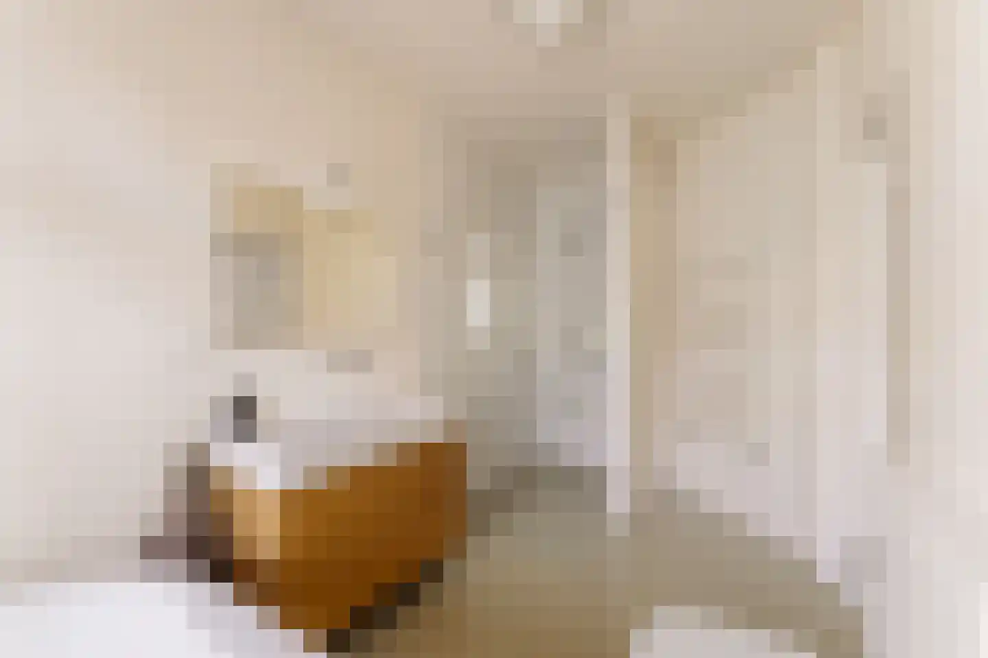 Watteaustraat 20 1 Amsterdam thumbnail 31