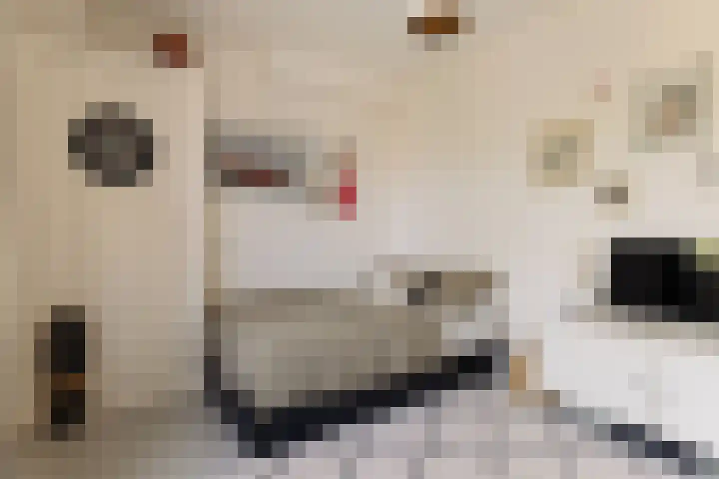 Watteaustraat 20 1 Amsterdam thumbnail 34