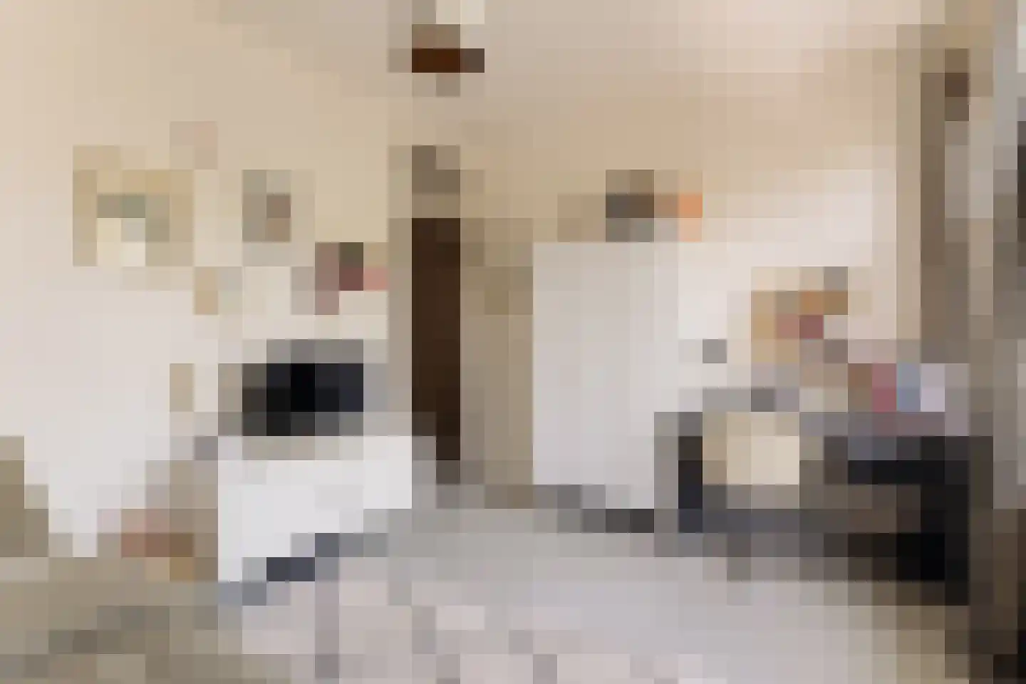 Watteaustraat 20 1 Amsterdam thumbnail 35
