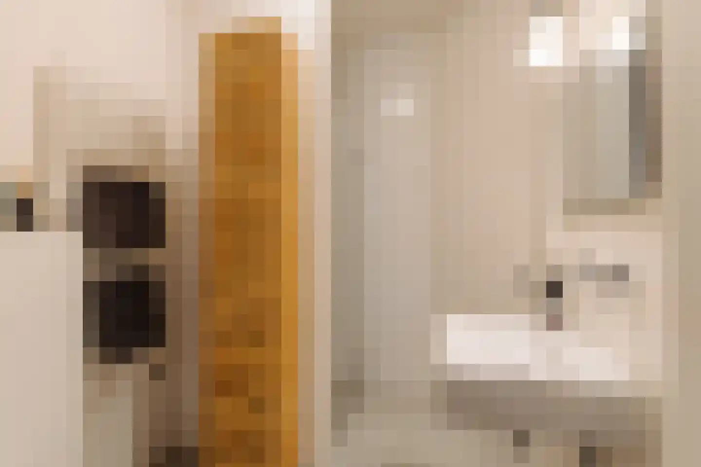 Watteaustraat 20 1 Amsterdam thumbnail 37