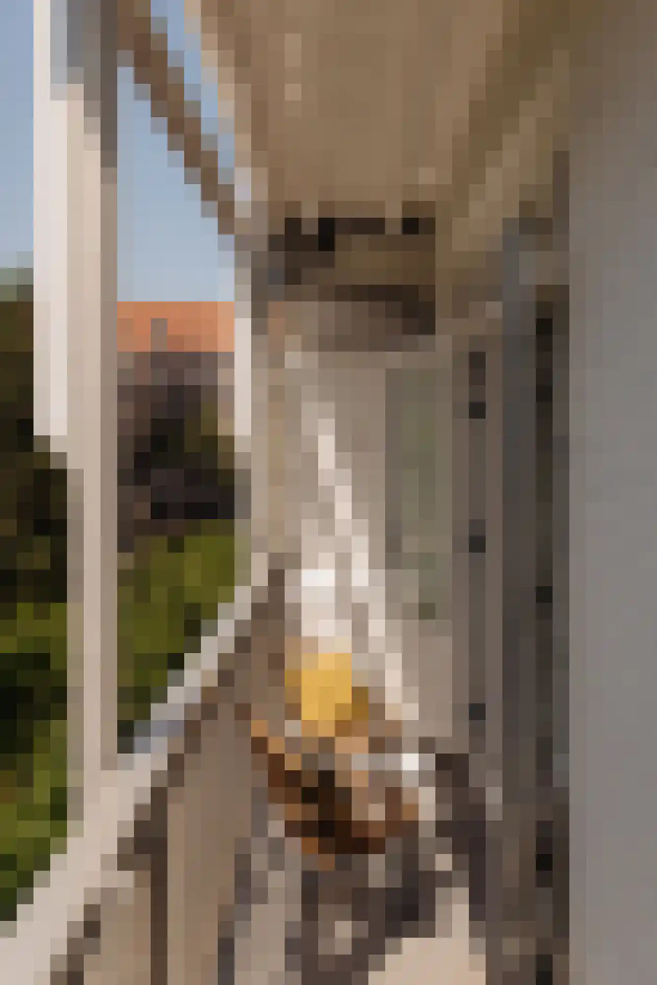 Watteaustraat 20 2 Amsterdam thumbnail 13
