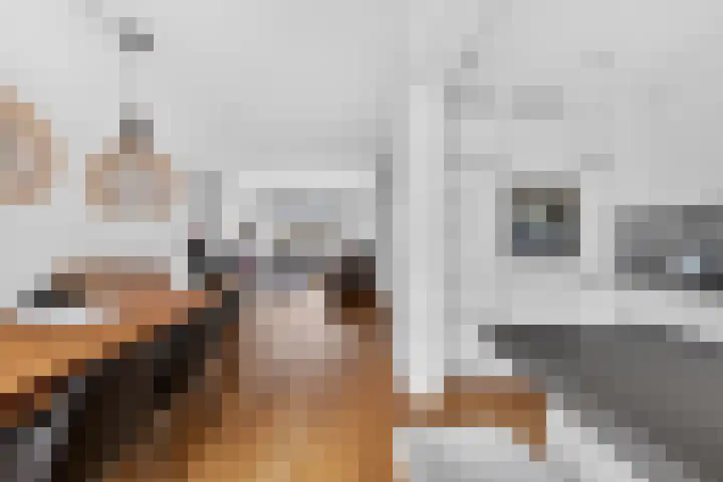 Watteaustraat 20 2 Amsterdam thumbnail 16