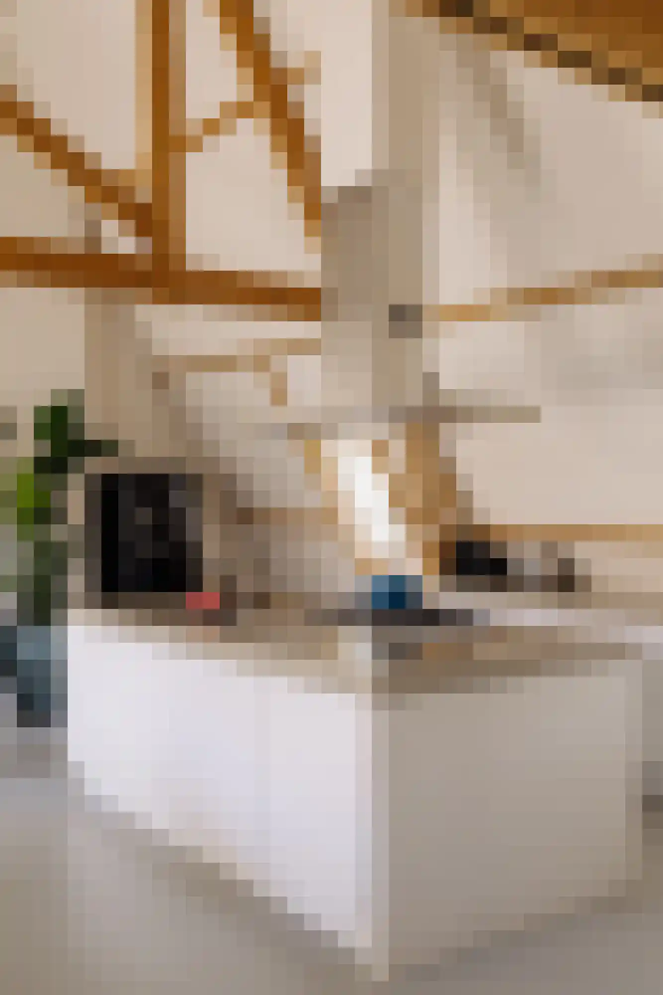 Watteaustraat 20 2 Amsterdam thumbnail 17