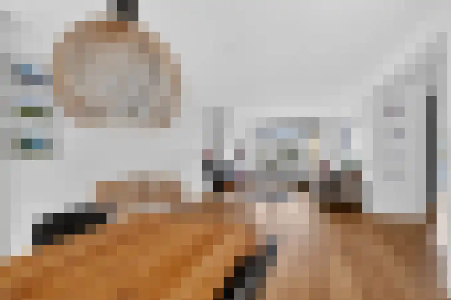 Watteaustraat 20 2 Amsterdam thumbnail 18