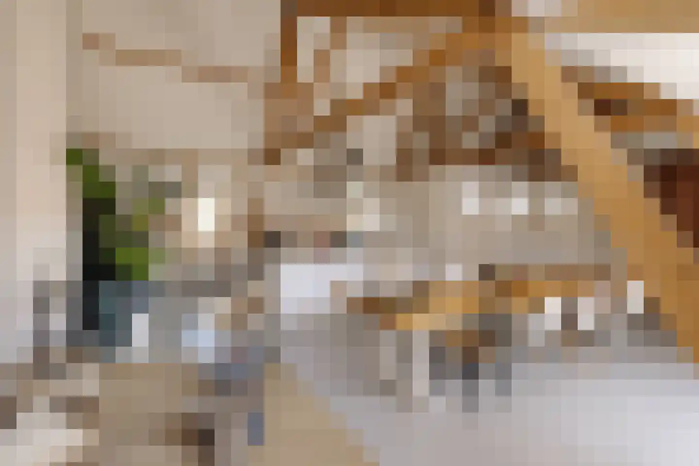 Watteaustraat 20 2 Amsterdam thumbnail 21
