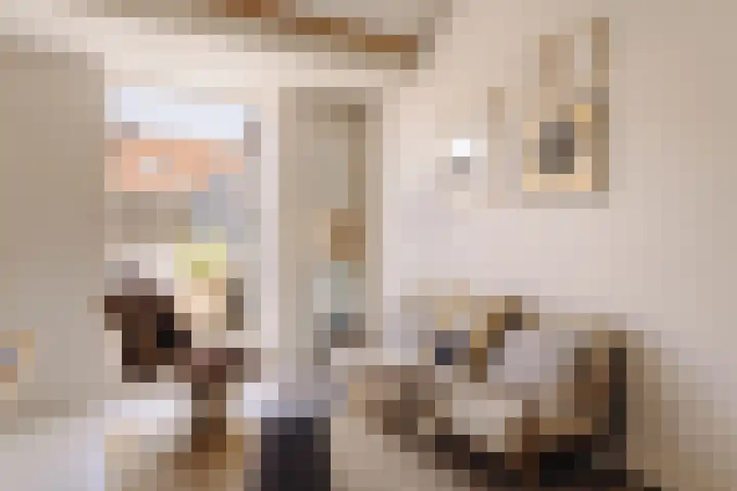 Watteaustraat 20 2 Amsterdam thumbnail 22