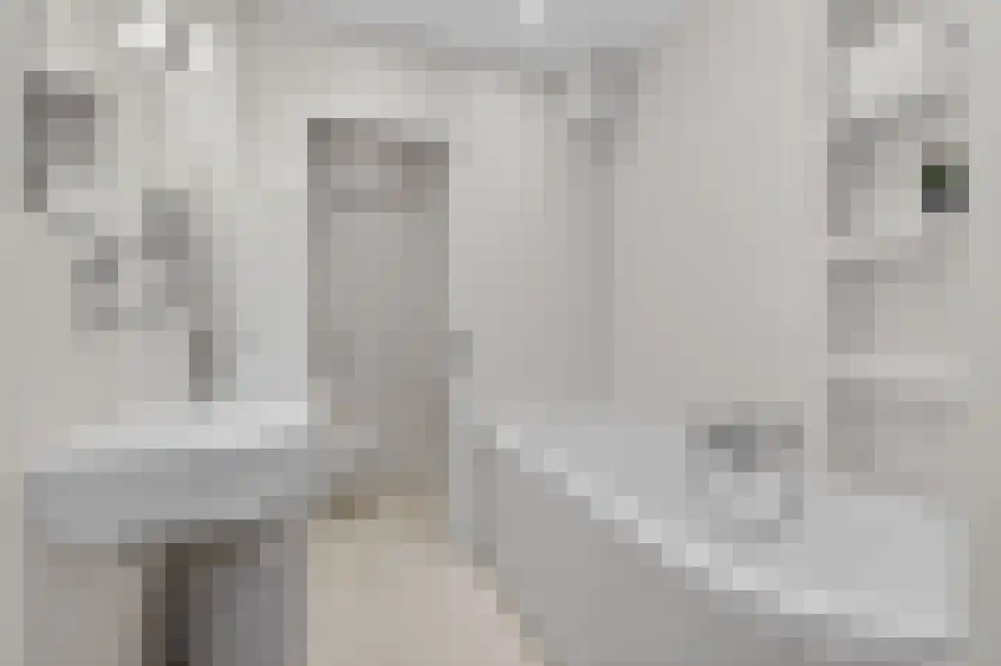 Watteaustraat 20 2 Amsterdam thumbnail 23