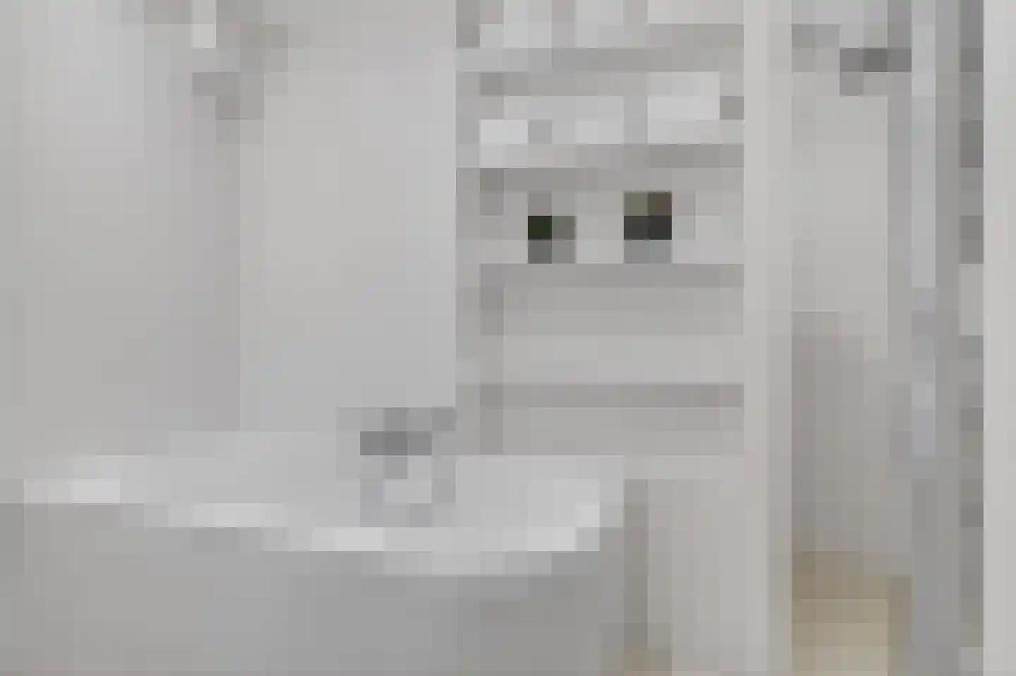 Watteaustraat 20 2 Amsterdam thumbnail 24